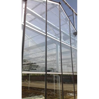 Agricultura Invernadero de vidrio de varias franjas Invernadero hidropónico Blanco