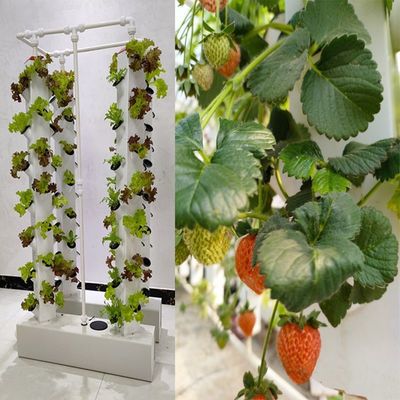 Hidroponía inteligente Jardín vertical Plantación de plantas herbales Sistema de cultivo NFT