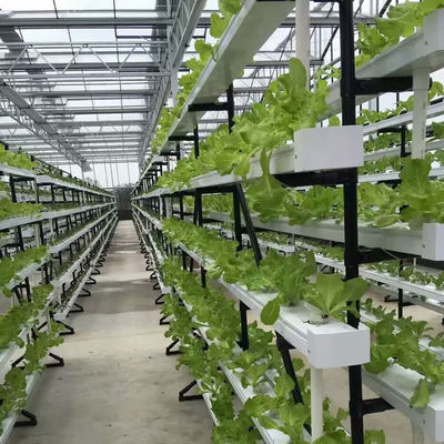 sistema de cultivo hidropónico NFT comercial invernadero canal hidropónico NFT