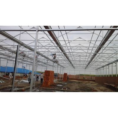Invernadero agrícola de alta eficiencia Invernadero de producción con película de plástico