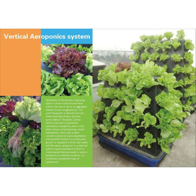 Sistema de aeropónica vertical para el cultivo de vegetales agrícolas en invernaderos