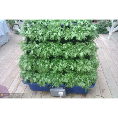 Sistema de aeropónica vertical para el cultivo de vegetales agrícolas en invernaderos