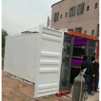 Sistema hidropónico Contenedor Planta de cultivo hidropónico Vertical Granjas hidropónicas en interiores