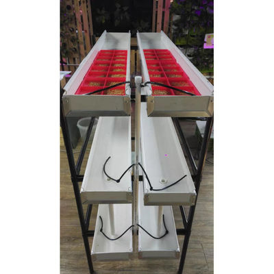 Sistema de alimentación hidropónica de germinados 4000*1600*2400 mm para granjas