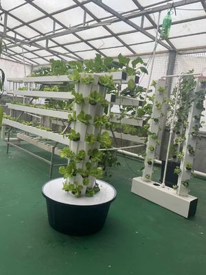 7P7 Torres de cultivo hidropónicas Sistema hidropónico de jardín vertical