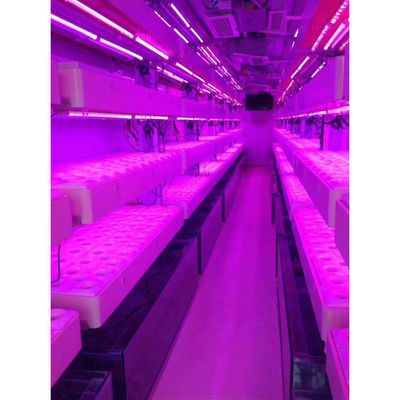 Sistema de cultivo hidropónico vertical de cultivo inteligente