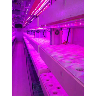 Sistema de cultivo hidropónico vertical de cultivo inteligente