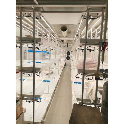Sistema de cultivo hidropónico vertical de cultivo inteligente