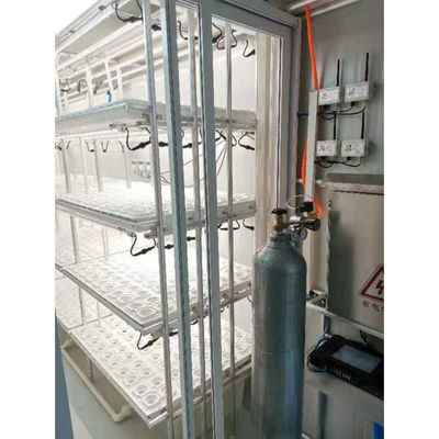 Sistema de cultivo hidropónico vertical de cultivo inteligente