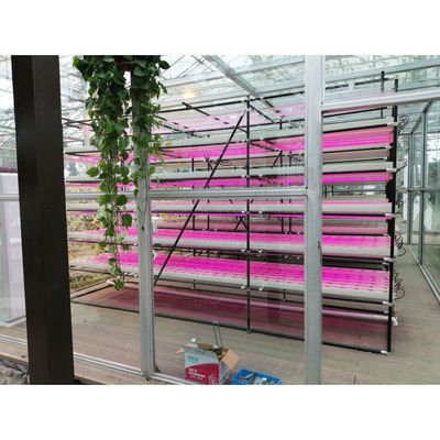 Agricultura en invernadero Iot fábrica vertical para la agricultura moderna
