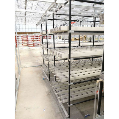 Agricultura en invernadero Iot fábrica vertical para la agricultura moderna