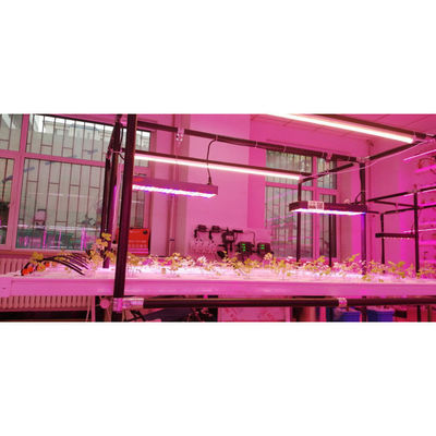 Planta de cultivo vertical NFT Hidropónico Jardín inteligente Blanco 110V/220VAC