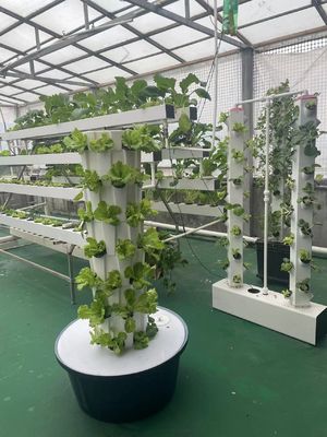 Sistema de cultivo hidropónico Torre para hortalizas Fresa Balcón Cultivo sin suelo