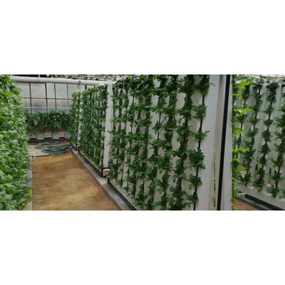 Sistemas de cultivo hidropónico en interiores Sistema hidropónico vertical en el hogar