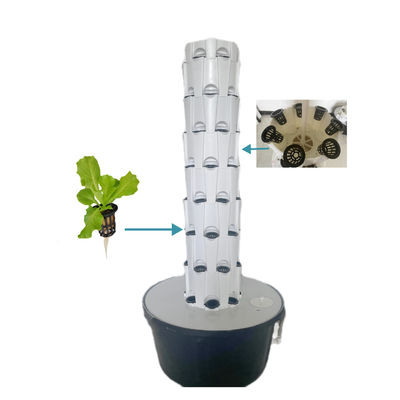 Balcón Torres de cultivo aeropónicas Hidroponía Sistemas verticales de jardín Sistemas hidropónicos en interiores Plantación de piña Tipo vertical