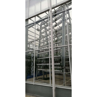 Equipo de riego e hidroponía Sistemas de cultivo hidropónico