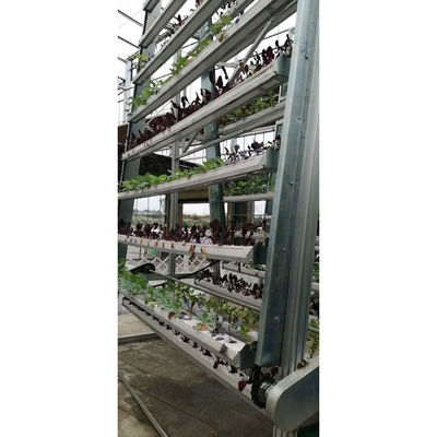 Equipo de riego e hidroponía Sistemas de cultivo hidropónico