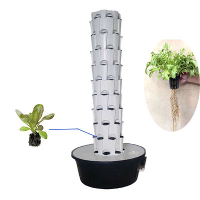 Sistemas de cultivo de ananas en interiores y exteriores de cultivo hidropónico de la torre de cultivo del jardín cultivo agrícola sin suelo Torre de cultivo hidropónico vertical
