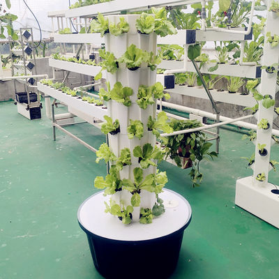 Sistemas de cultivo de ananas en interiores y exteriores de cultivo hidropónico de la torre de cultivo del jardín cultivo agrícola sin suelo Torre de cultivo hidropónico vertical