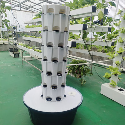 Sistemas de cultivo de ananas en interiores y exteriores de cultivo hidropónico de la torre de cultivo del jardín cultivo agrícola sin suelo Torre de cultivo hidropónico vertical