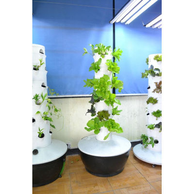 Fabricante profesional Sistemas de torres de cultivo hidropónicos verticales de último diseño