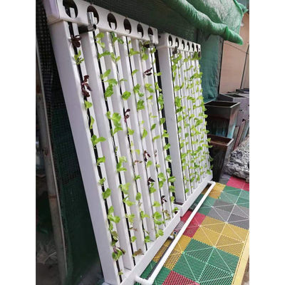 C-Growart Agricultura Sistema de cultivo hidropónico Cultivo sin suelo para el crecimiento de las plantas