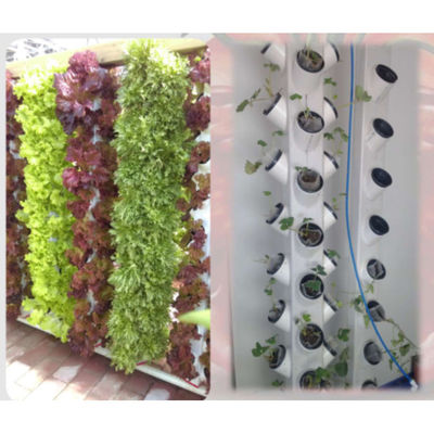 Sistema de cultivo hidropónico de nuevo estilo