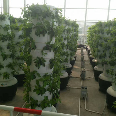 Sistema de cultivo hidropónico Granja de jardín Invernadero Torre vertical Plantador