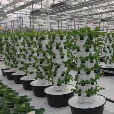 Sistema de cultivo hidropónico Granja de jardín Invernadero Torre vertical Plantador