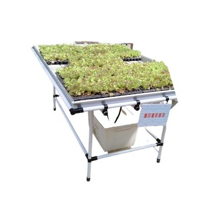 Tablas de cultivo a medida Tablas de cultivo en invernadero Tablas de cultivo de flujo y reflujo