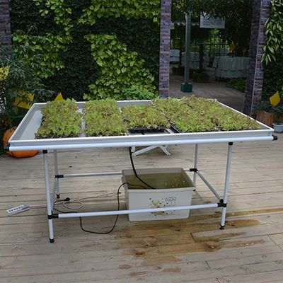 Tablas de cultivo a medida Tablas de cultivo en invernadero Tablas de cultivo de flujo y reflujo