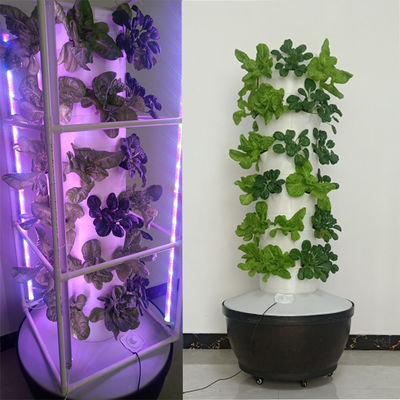 Sistema de hidroponía hortalizas Torre de cultivo vertical Fresa Puertas de jardinería torre vertical