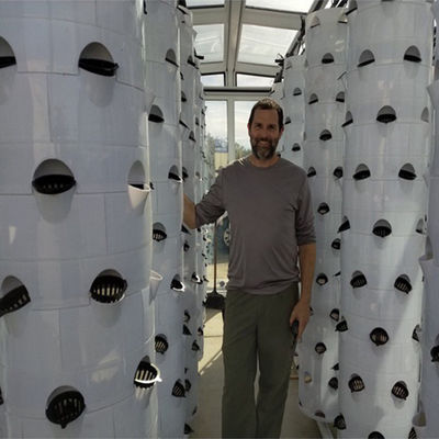 Torre hidropónica NFT vertical para el sistema de cultivo en invernadero