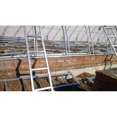 Equipo de hongo Invernadero para la agricultura de vegetales con marco de acero