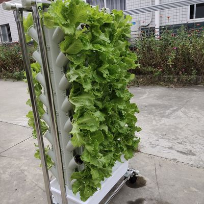 Cultivo sin suelo o cultivo de sustrato torre de plantación para jardinería