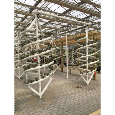 Cultivo sin suelo Control biológico tubo hidropónico de doble hélice para interiores