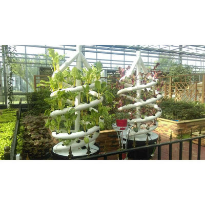 Cultivo sin suelo Control biológico tubo hidropónico de doble hélice para interiores