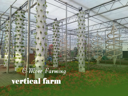 Sistema de cultivo hidropónico para verduras y fresas con luz LED