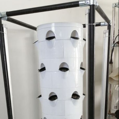 Sistema de cultivo hidropónico vertical para verduras y fresas con estante