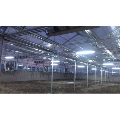 Agricultura mono/doble capa Hidroponía en invernadero con película de plástico