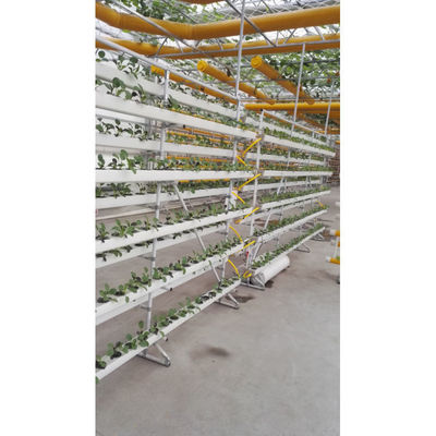 NFT DFT Jardín Sistema de torre de cultivo hidropónico vertical Agricultura