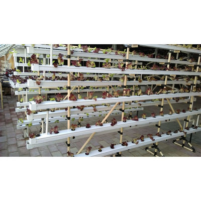 NFT DFT Jardín Sistema de torre de cultivo hidropónico vertical Agricultura