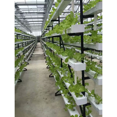 NFT DFT Jardín Sistema de torre de cultivo hidropónico vertical Agricultura