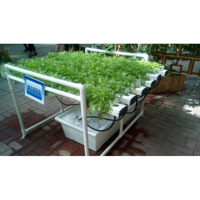 NFT DFT Jardín Sistema de torre de cultivo hidropónico vertical Agricultura