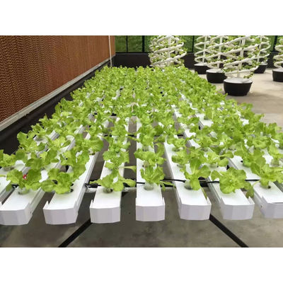NFT DFT Jardín Sistema de torre de cultivo hidropónico vertical Agricultura