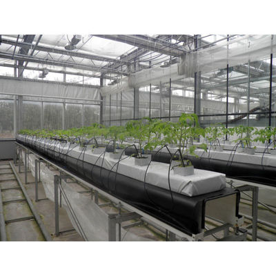 Equipo de cultivo hidropónico de PVC de grado alimenticio y de cultivo hidropónico de Cocopeat