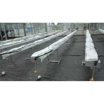 Equipo de cultivo hidropónico de PVC de grado alimenticio y de cultivo hidropónico de Cocopeat
