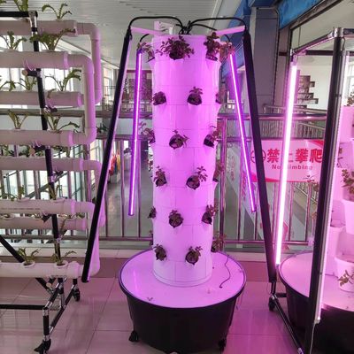 Nuevo sistema de cultivo hidropónico vertical para verduras y fresas con LED