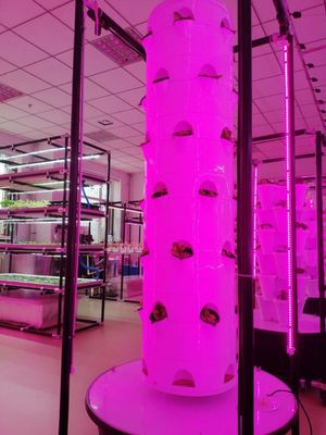 Nuevo sistema de cultivo hidropónico vertical para verduras y fresas con LED