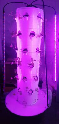Sistema hidropónico Aerpetta Fresa y vegetales de hoja de rotación con luces